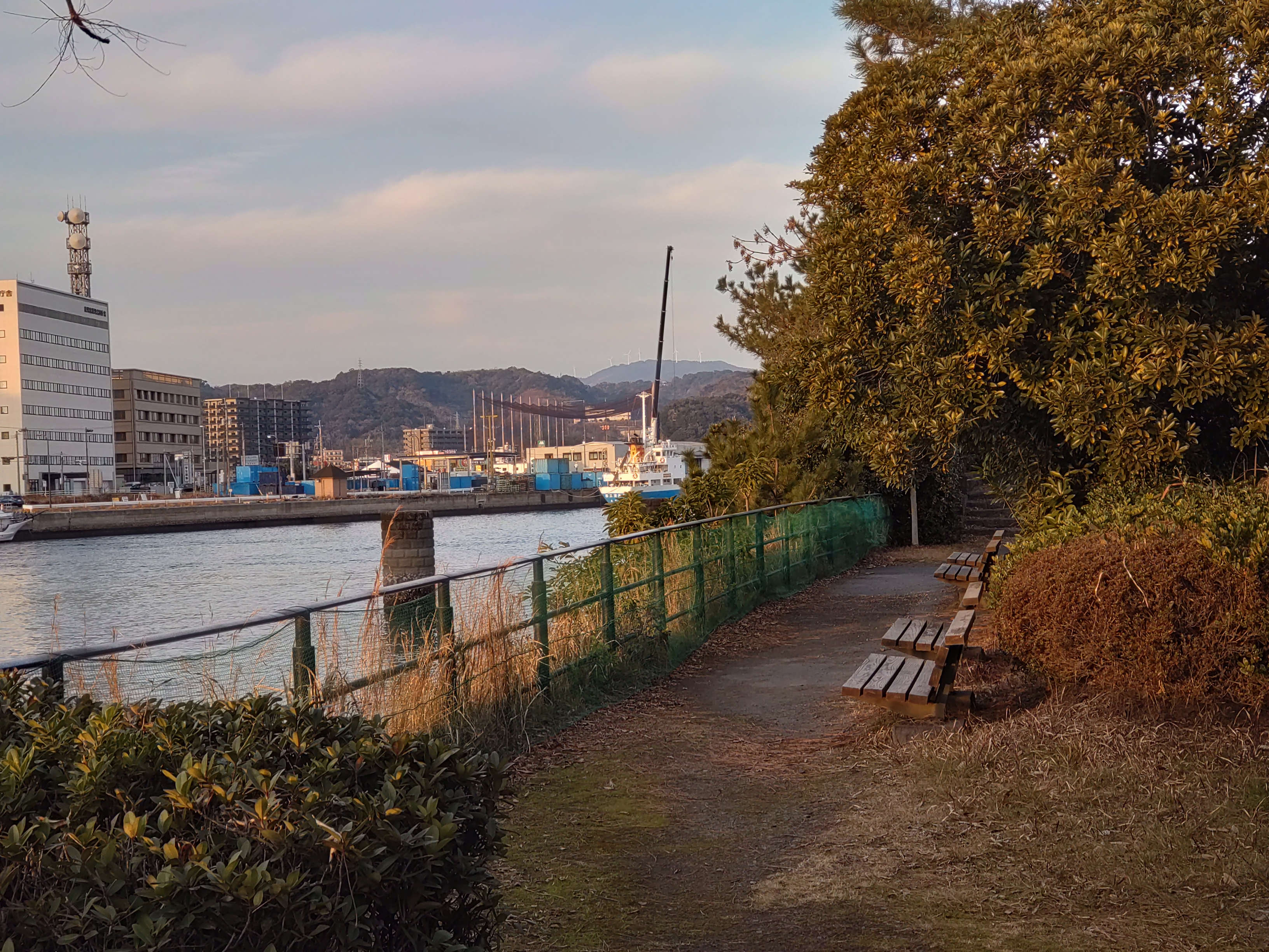 かごしま水族館前の写真1