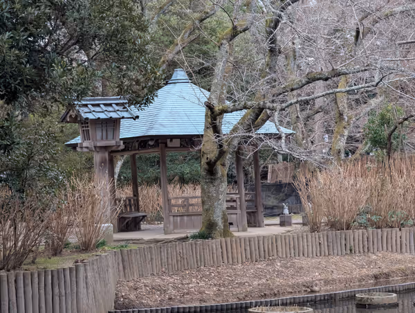 出雲大社 浄の池の写真5