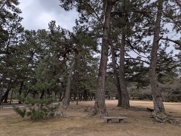 Photo of Izumo Taisha-mae Station | Izumo Taisha West Garden | Rest Spot 1