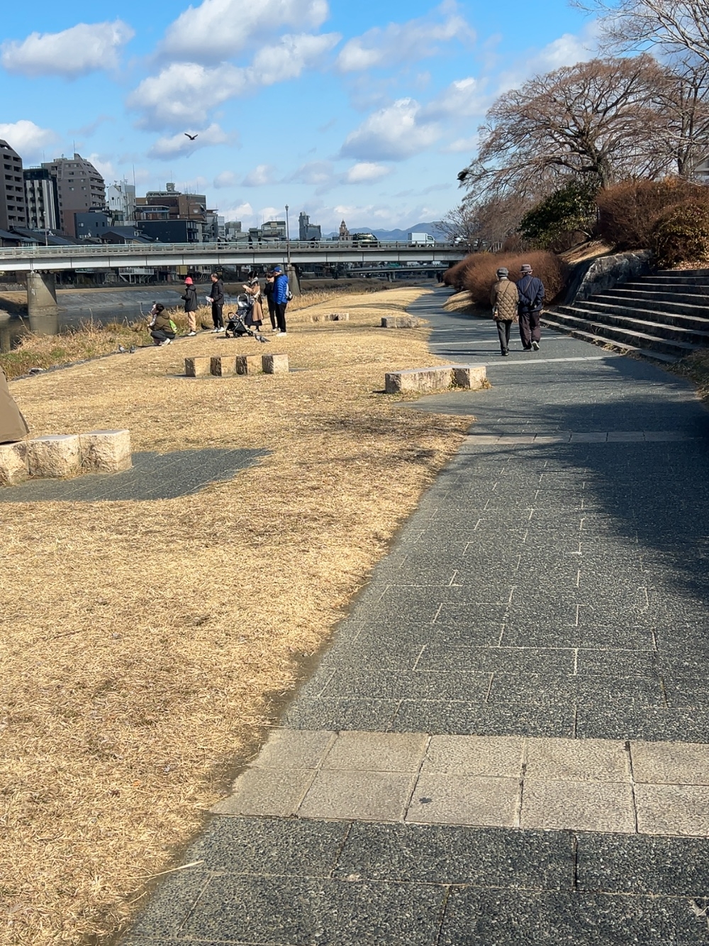 鴨川沿いの写真1