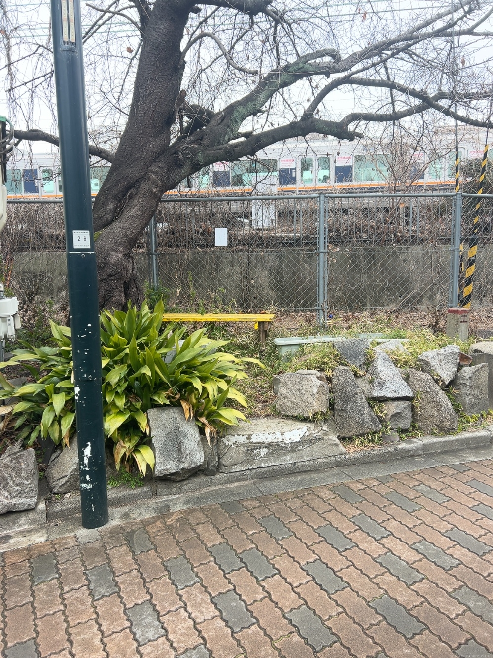Photo of Ibaraki Station | Along the tracks | Rest Spot 1