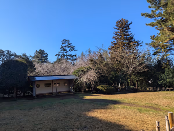 Photo of Matsue Shinji Lake Onsen Station | Weeping Cherry Tree Near | Rest Spot 1