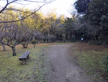 松江しんじ湖温泉駅搦手之虎口広場の休憩場所その6