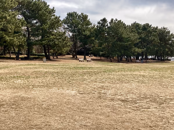 Photo of Kasai Rinkai Koen Station | Kasai Rinkai Koen Observation Plaza | Rest Spot 3