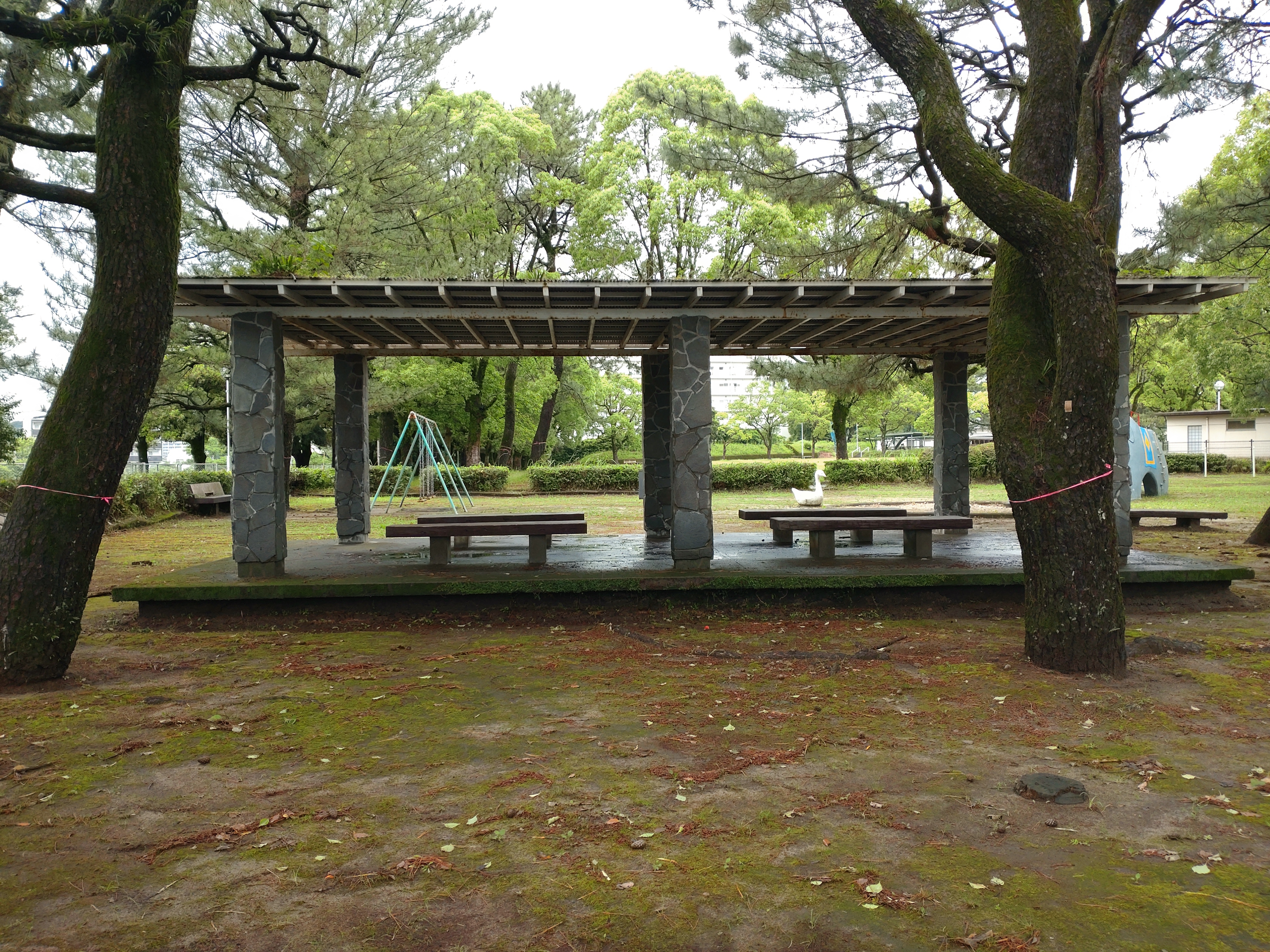 思川公園の写真1