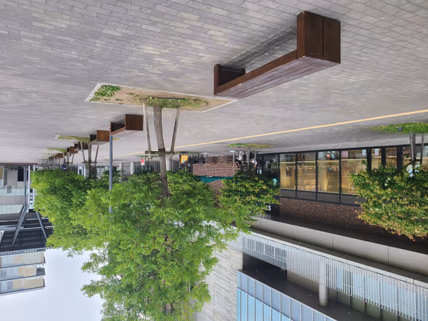 立命館大学大阪いばらきキャンパスB棟(立命館いばらきフューチャープラザ)北側の写真2