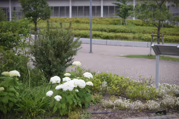 Foto di 立命館大学大阪いばらきキャンパス 北エントランス(岩倉門)付近 3