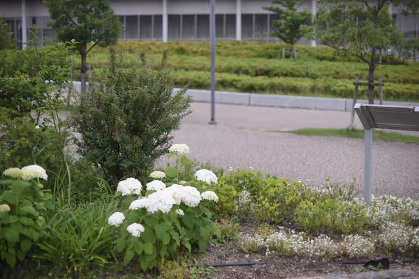 Foto di 立命館大学大阪いばらきキャンパス 北エントランス(岩倉門)付近 3