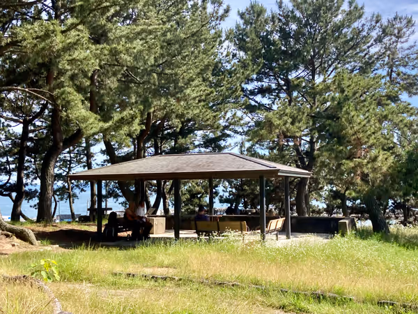 住吉公園の写真2