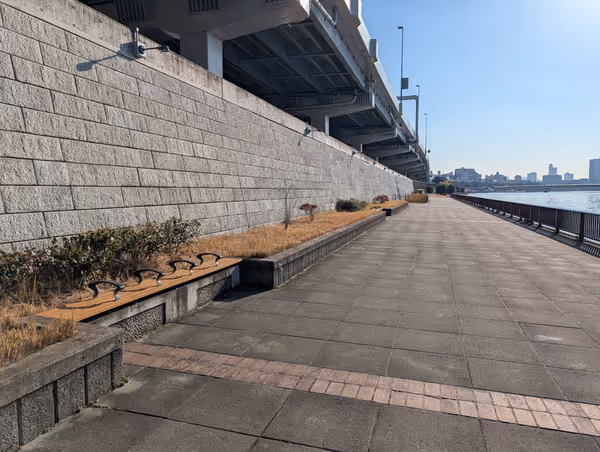 隅田川沿い 堤通公園付近の写真2