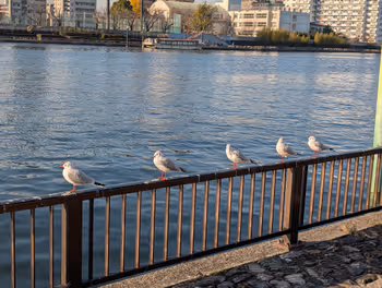 Photo of Hikifune Station | Kotodzuma Dango Pier Near 5