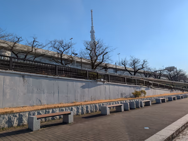 言問団子桟橋付近の写真2