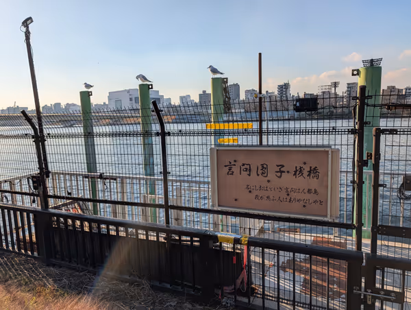 言問団子桟橋付近の写真3