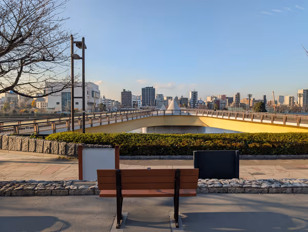 隅田川 桜橋 向島側の写真3