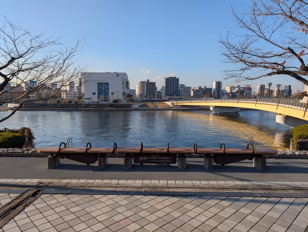 隅田川 桜橋 向島側の写真4