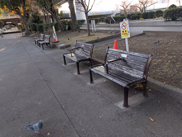 隅田公園 旧釣り堀側の写真2