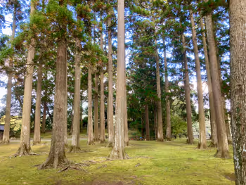 Image 1 near the Former Hommaru Site of Obi Castle