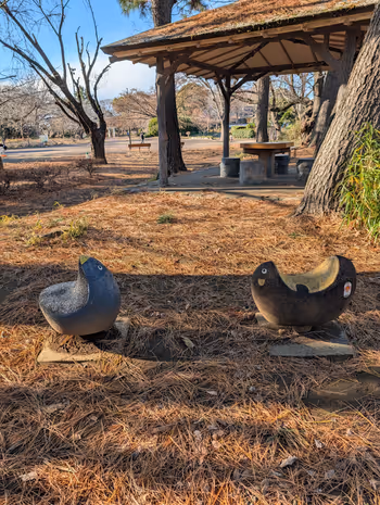 新川崎車站 夢見丘公園 的照片 8