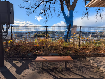 新川崎車站 夢見丘公園 的照片 3