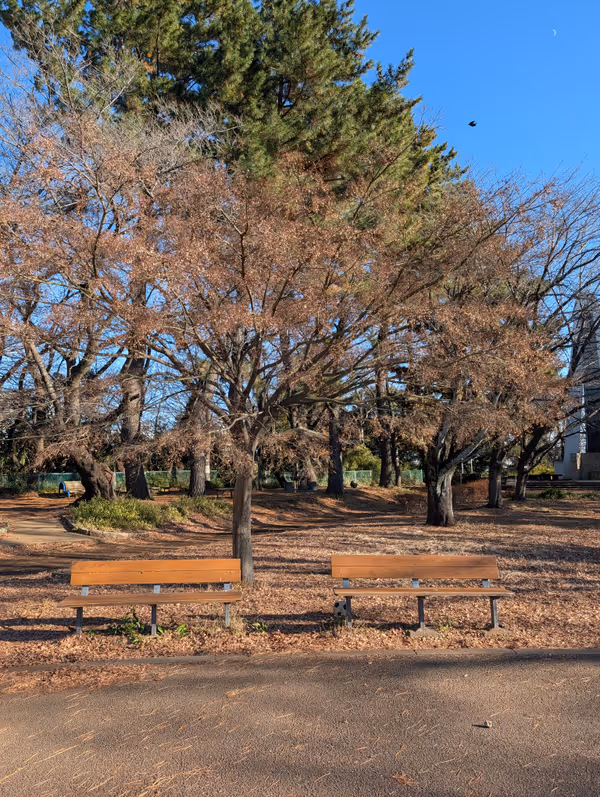 新川崎車站 夢見丘公園 的照片 6