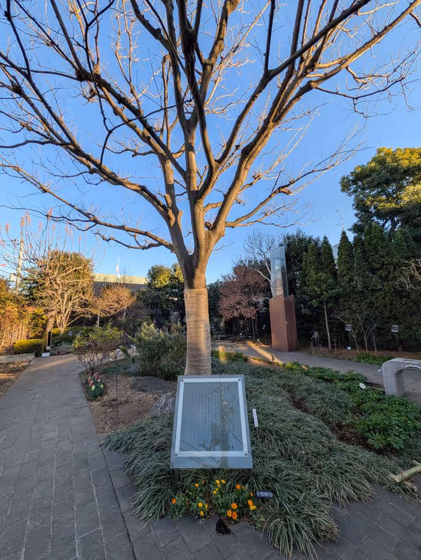 ねむの木の庭の写真4