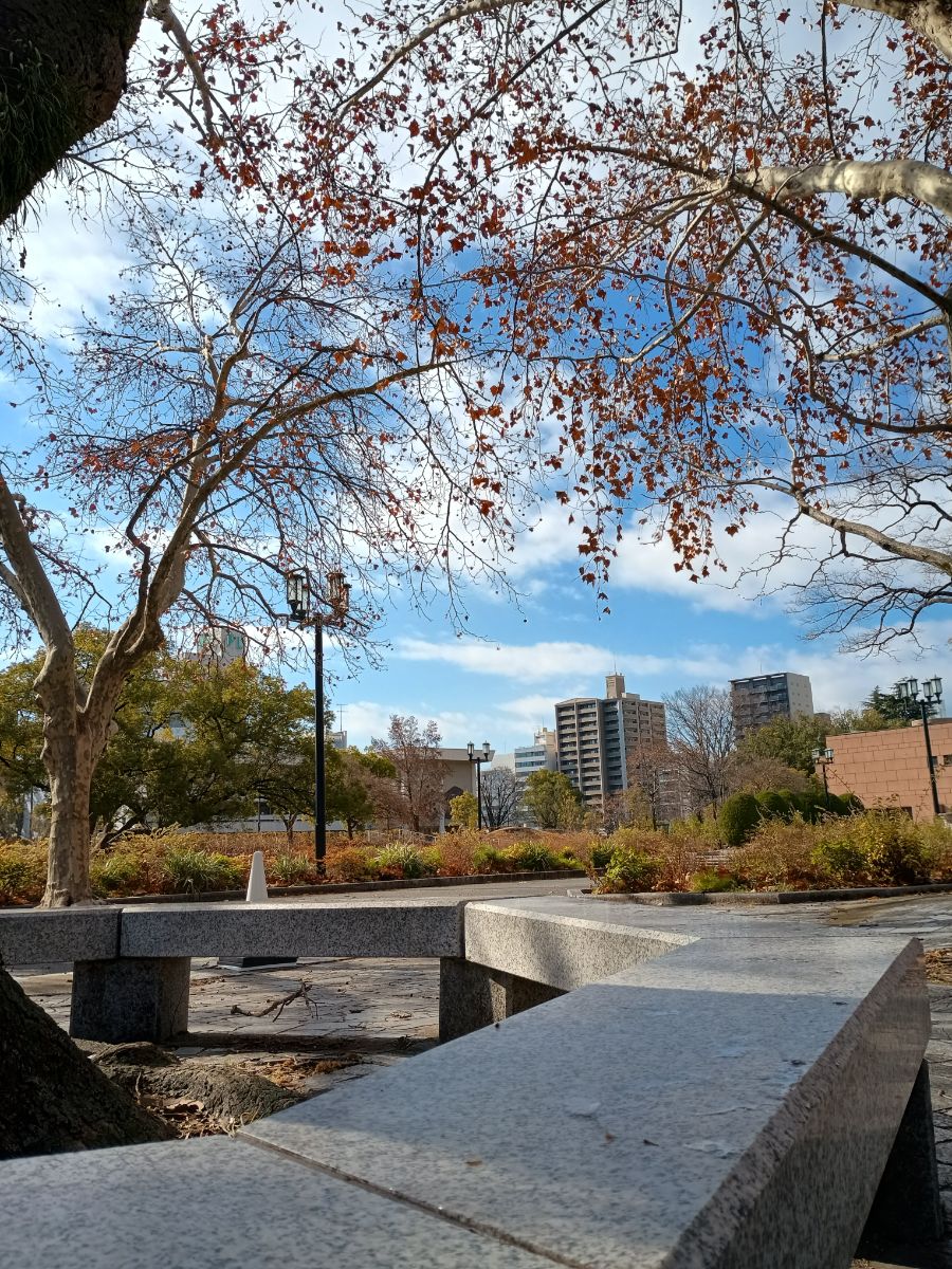 Photo of Hiroshima Peace Memorial Park Station | Around the Platanus Trees by Hanover Garden 1