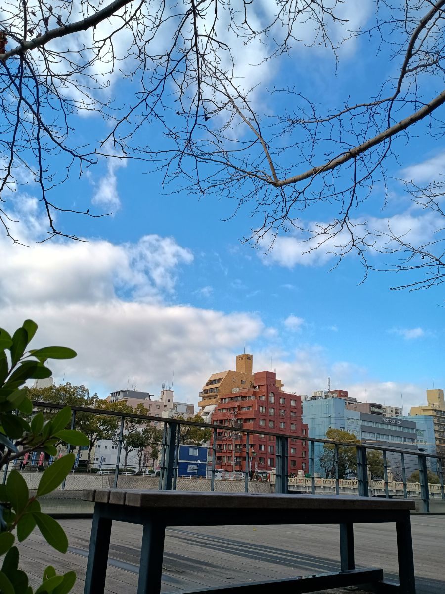 京橋近く川沿いの写真1