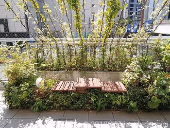 赤坂見附開放式露台的長椅