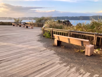 사쿠라지마 용암 나기사 공원 족탕 주변 사진 7