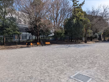 戸山公園 箱根山地区 早稲田口付近の写真4