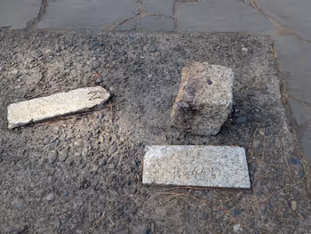 箱根山 山頂の写真5