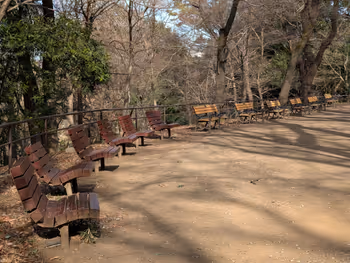 Photo de 戸山公園 箱根山地区 一帯 3