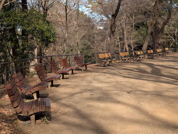 戸山公園 箱根山地区 一帯の写真3