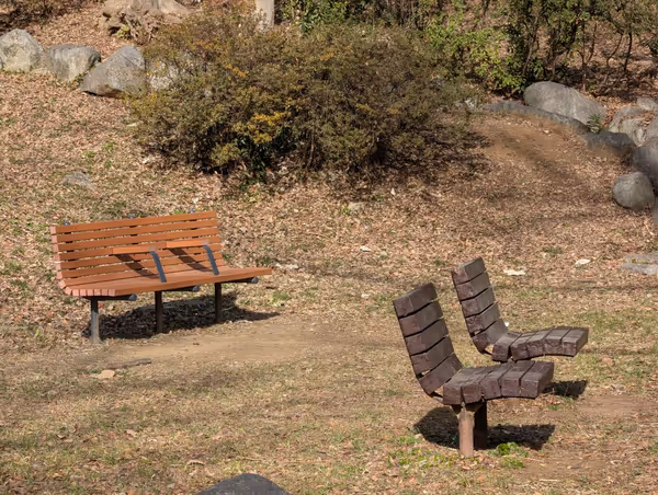 戸山公園 箱根山地区 一帯の写真5