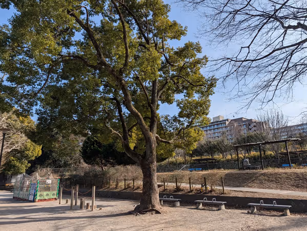 戸山公園 箱根山地区 一帯の写真4