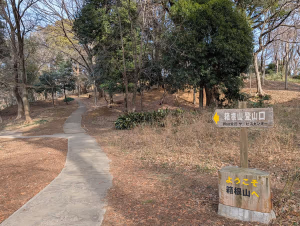 戸山公園 箱根山地区 一帯の写真2