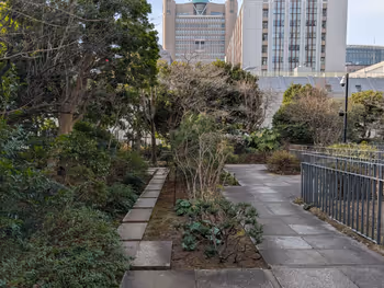 三井住友海上駿河台ビル 屋上庭園の写真6