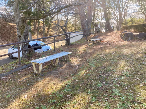 益岡公園の写真2