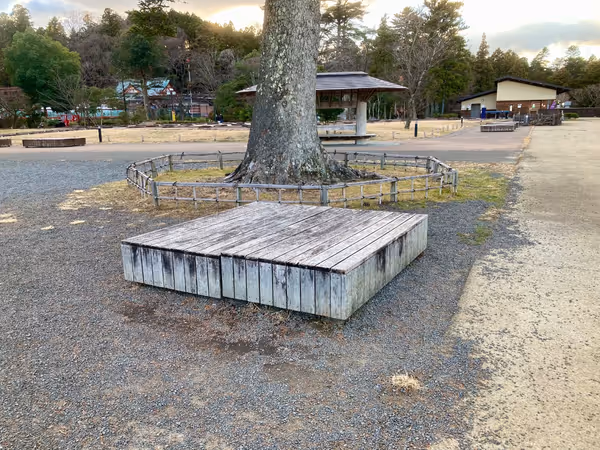 仙台城 本丸跡周辺の写真2