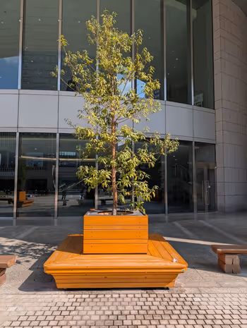 Foto di 都民広場 8