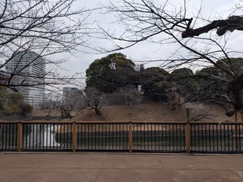 【九段下站】千鳥淵綠道 印度大使館附近 的照片 4