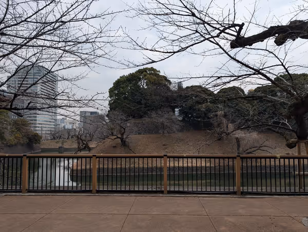 千鳥ヶ淵緑道 インド大使館付近の写真4