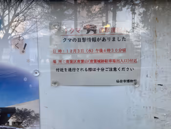 五色沼付近の写真2