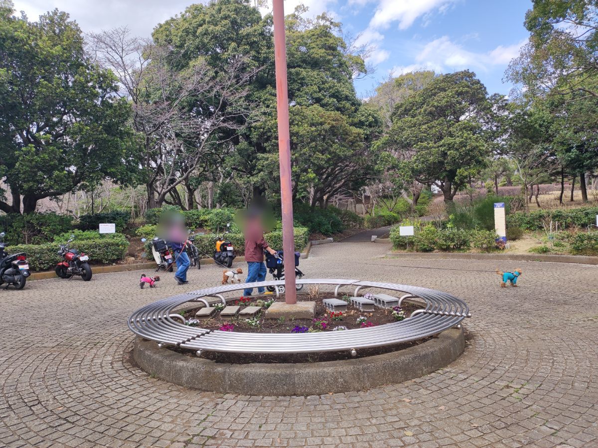 第一カッターきいろ公園　南入口の写真1