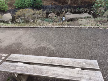 【Kita-Chigasaki Station】First Cutter Kiiro Park, on the way to the south road 1 사진 2