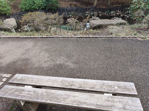 第一カッターきいろ公園 南の道の途中 1の写真2