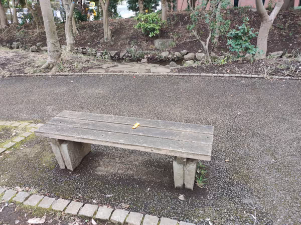 第一カッターきいろ公園 南の道の途中 2の写真2