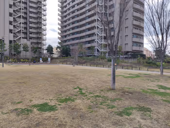 茅ヶ崎市役所の市役所広場内の写真2