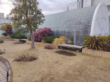 Foto de ラスカ茅ヶ崎 7F屋上テラス 2