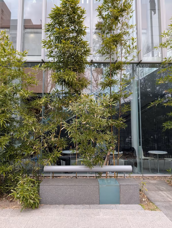 平和記念モニュメント横の写真3